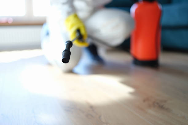 St Marys, OH Mold Removal Company