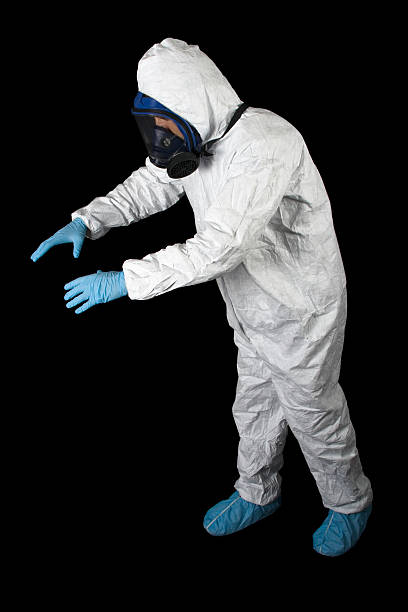 Best Asbestos and Lead Testing During Mold Inspection  in St Marys, OH
