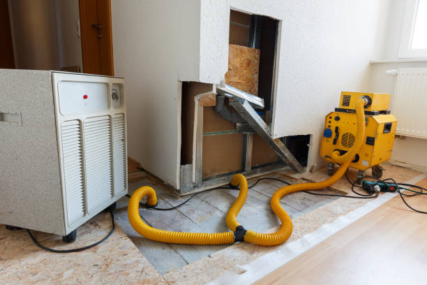  St Marys, OH Mold Removal Pros